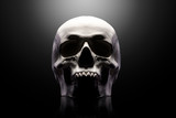 Fototapeta Tęcza - Front view of gypsum model of the human skull isolated on black background