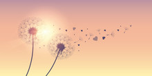 Dandelion Silhouette With Flying Seeds And Hearts For Valentines Day Vector Illustration EPS10