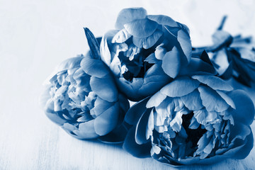 Fotomurales - trend color of the year 2020 classic blue. beautiful peony flowers bouquet