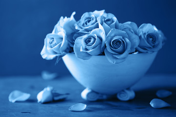 Fotomurales - trend color of the year 2020 classic blue. beautiful rose flowers in vase