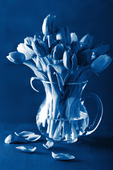 Fotomurales - trend color of the year 2020 classic blue. beautiful tulip flowers bouquet in vase
