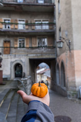 small orange pumpkin that fits in one hand