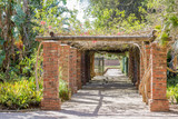Fototapeta Do pokoju - Pergola entrance with romantic tropical plants and flowers on a bright summer day in Port Elizabeth in South Africa.