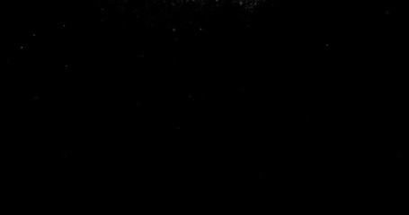 Wall Mural - Flying dust particles on a black background