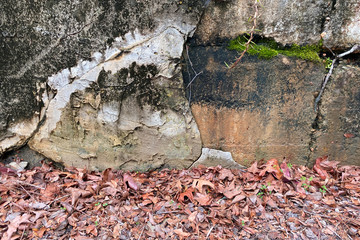 Wall Mural - retro stone warehouse wall moss dead fall leaves