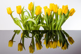 Fototapeta Tulipany - Żółte tulipany i lustrzane odbicie w kałuży.  Rozlana woda i odbicie kwiatów.