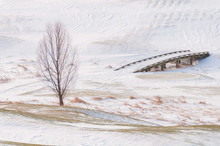 Barren Tree On A Snow Covered Landscape