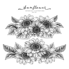 Wall Mural - Sketch Floral decorative set. Sunflower drawings. Black and white with line art isolated on white backgrounds. Hand Drawn Botanical Illustrations. Elements vector.