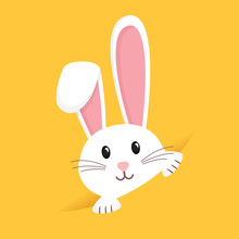 Easter Rabbit, Easter Bunny. Vector Illustration.