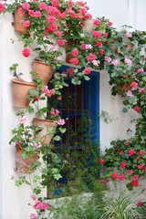 Wall Mural - Cordoba Beautiful flower decoration