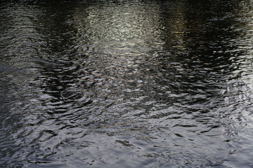 Wall Mural - Rapidly flowing river with reflections