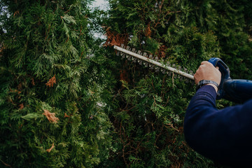 Hedge Trimming Job. Caucasian Gardener with Gasoline Hedge Trimmer Shaping Wall of Thujas in a Garden.Macro