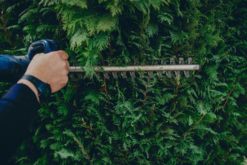 Hedge Trimming Job. Caucasian Gardener with Gasoline Hedge Trimmer Shaping Wall of Thujas in a Garden.Macro