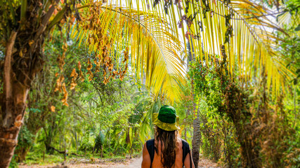 Young tourist man walking under palm trees in a tropical forest on top of a palm tree trunk in Tayrona National Park. Beautiful tall palm trees, sunny day and amazing natural landscape.