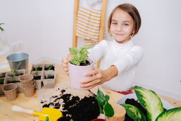 Wall Mural - Little girl in warm clothes showing seedlings in pot, that she replanted herself