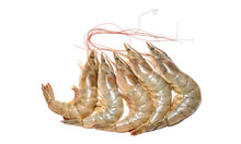 Fresh Shrimp Or Prawn On White Background, Raw Prawns Isolated On White Background, Fresh White Shrimps In White  Background.