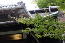 伝統的な和風家屋の軒先（東京都渋谷区）　The Eaves Of A Traditional Japanese-style House (Shibuya-ku, Tokyo)