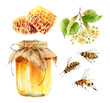 Watercolor honey set of design elements on white background