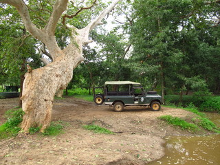 Sticker - The car for the safari in Yala National park, Sri Lanka