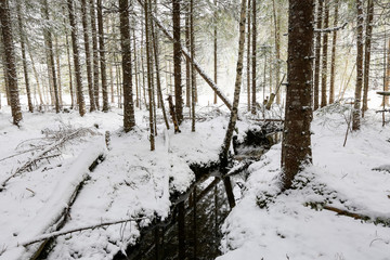  Last snowfall in the spring