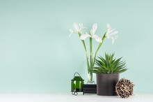 Spring Decor For Home Library With Green Aloe, White Iris Bouquet, Sheaf Of Brown Twigs, Elegant Glass Candlestick  In Soft Light Green Mint Menthe Interior On White Wood Shelf.