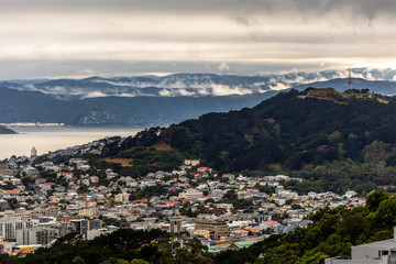 Wall Mural - Cloudy day over Wellington, New Zealand