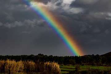  rainbow over field