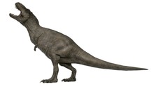 3d Rendered T-rex Tyrannosaurus Rex