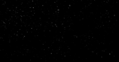 Wall Mural - flying dust particles on a black background