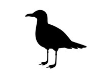 Seagull Black Silhouette Icon Vector. Seagull Isolated On A White Backgound. Standing Seagull Clip Art. Gull Silhouette Icon