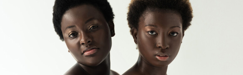 Wall Mural - panoramic shot of african american girlfriends looking at camera isolated on grey