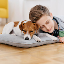 Loving Little Boy Relaxing With His Pet Dog