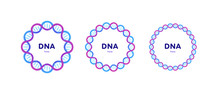 Genetic Abstract Concept. Vector Color Flat Illustration. Set Of Circle Frame Banner Of DNA Helix And Copy Space Isolated On White. Blue Pink Gradient Design For Gene Science, Medicine Advertisment.