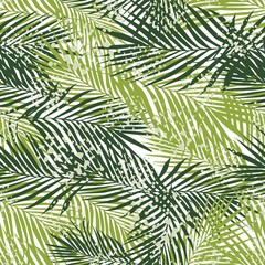  Exotic fern leaves seamless pattern on white background. Tropical palm leaf wallpaper.