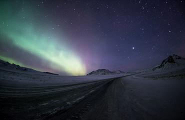 Wall Mural - Northern lights aurora borealis