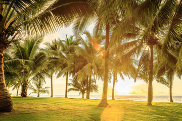 Wall Mural - green field with palm trees with palm trees by the sea, tropical landscape, sunset