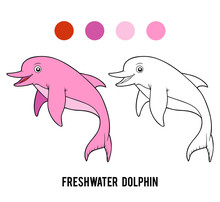 Coloring Book, Freshwater Amazon Dolphin