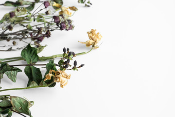 Wall Mural - Bouquet of wilted flowers on a white background