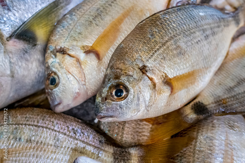 Fotomural Fresh fish in market Tavira, Algarve, Portugal