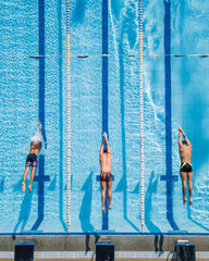 Wall Mural - Three Swimmers Diving