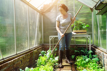 Woman In A Greenhouse In The Garden At Gardening And Plant Care