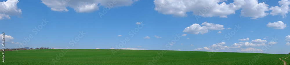 Panoramic photo of a green field hill  and blue sky with a nice cloudscape. - obrazy, fototapety, plakaty 
