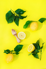 Summer, vitamin, immune boost concept, lemon fruit on yellow