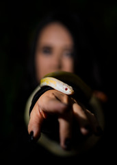 Wall Mural - Japanese model in rehearsal with snake in the photo studio