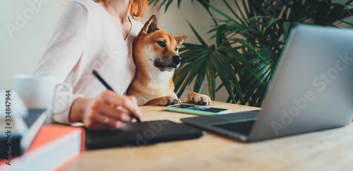 Fotografía Home Office Concept, Young female freelancer working remotely from home sitting