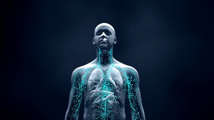 immune system defends the body against infections and diseases