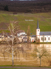 Wall Mural - village of piesport