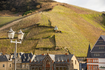 Wall Mural - vineyards in bernkastel