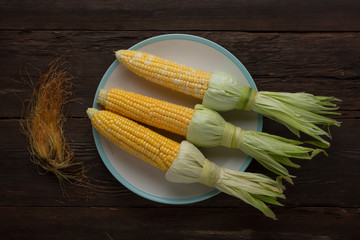 Wall Mural - Corn on the cob on a white dish, top view