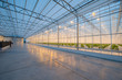 © Артем Ионов - Big hydroponics greenhouse farm, is a lot of greens and vegetables